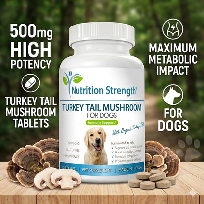 Nutrition Strength Organic Turkey Tail Mushroom for Dogs - 500mg Immune Support - 120 Chewable Tablets