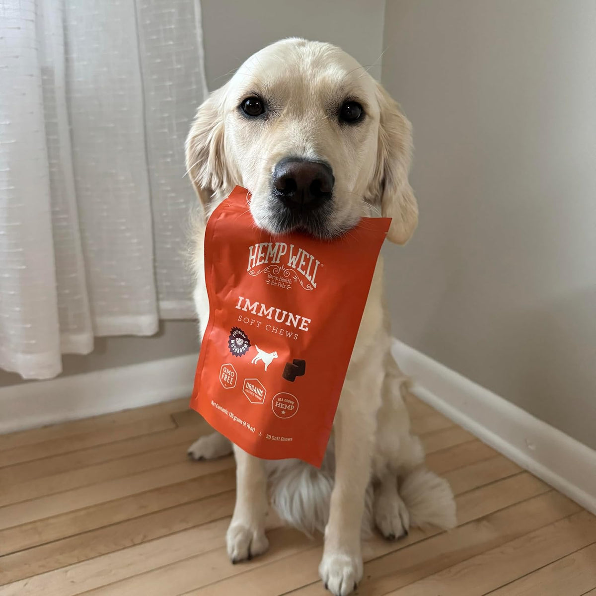 Immune - Allergy Support Dog Soft Chews - Long Lasting Relief for Seasonal Dog Allergies and Itching - Supports Healthy Skin and Immune System - Gut Health - Organic (30 Chews) - görsel 8