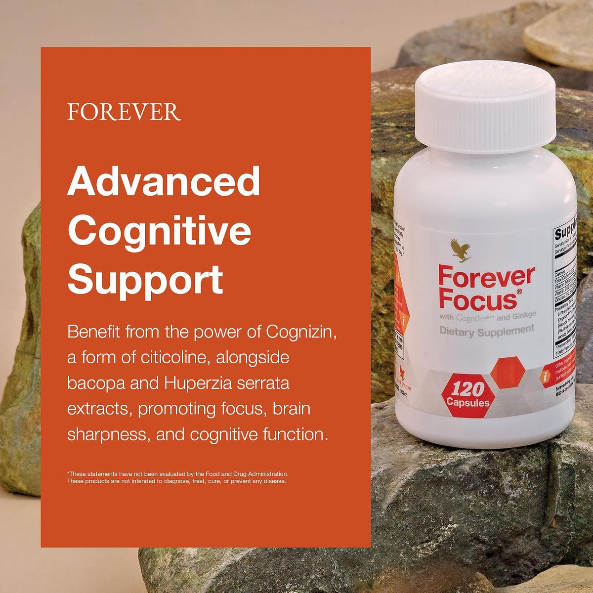 Forever Focus - Brain Clarity and Focus Supplement with Cognizin, Bacopa, and B Vitamins (120 Capsules) - görsel 3