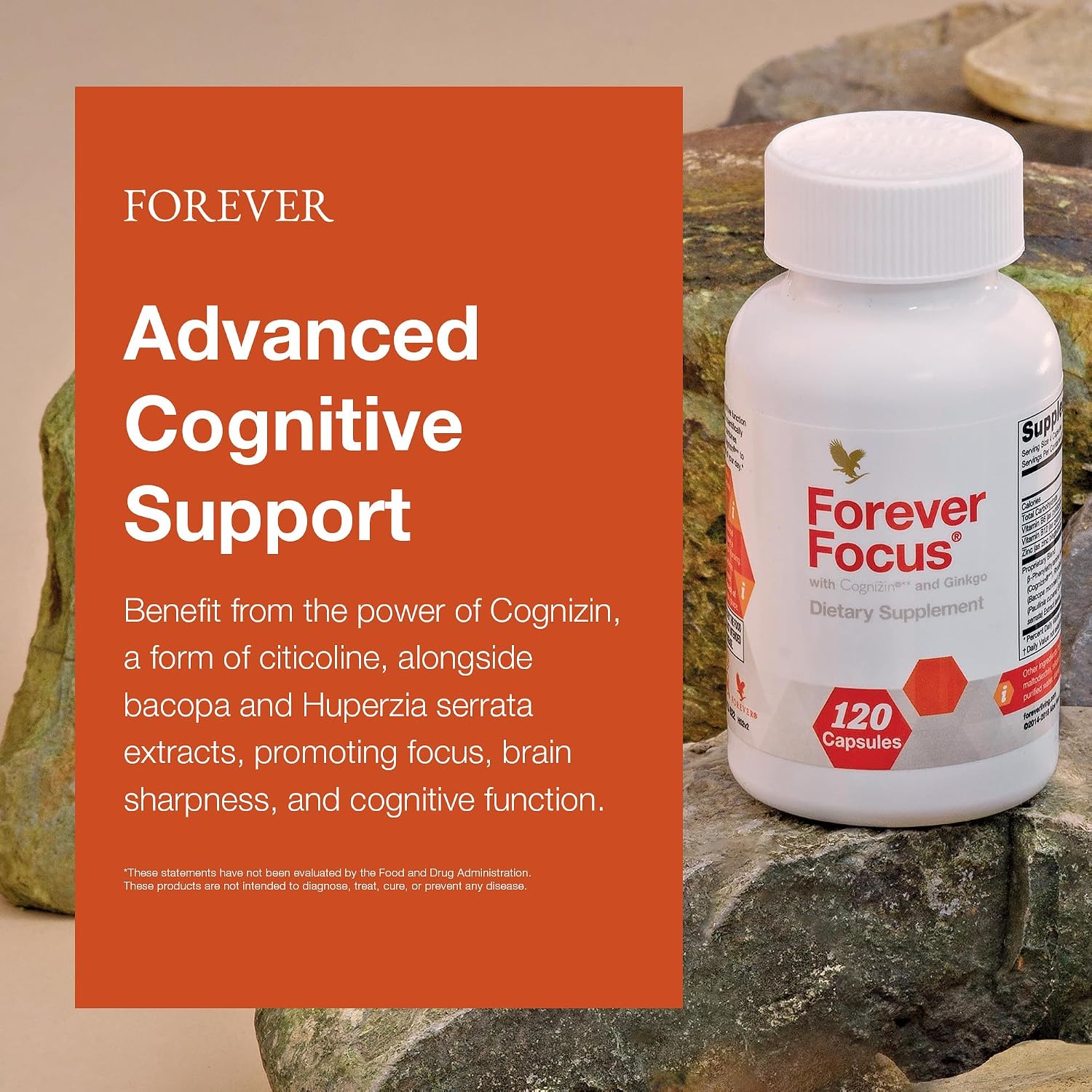 Forever Focus - Brain Clarity and Focus Supplement with Cognizin, Bacopa, and B Vitamins (120 Capsules) - görsel 3