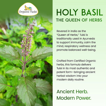Organic Veda Holy Basil Capsules - Triple Complex Tulsi Leaf Supplement with Black Pepper Extract - Supports Respiratory & Immune Health, Helps Maintain a Balanced Stress Response & Mood - 60 Vegan Capsules