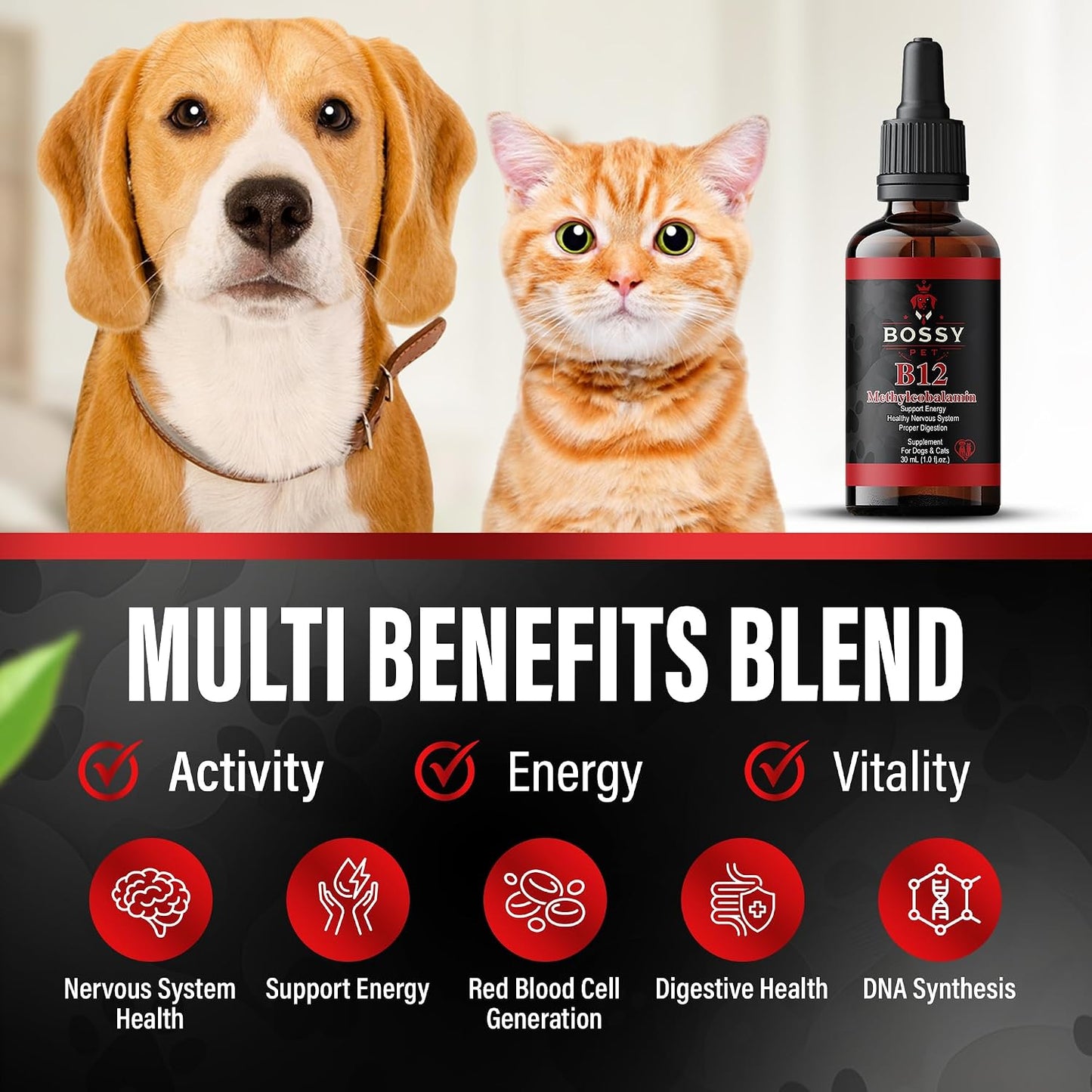 Bossy Pet Vitamin B12 Liquid Supplement for Dogs & Cats – Vet-Formulated Methylcobalamin Drops - görsel 3