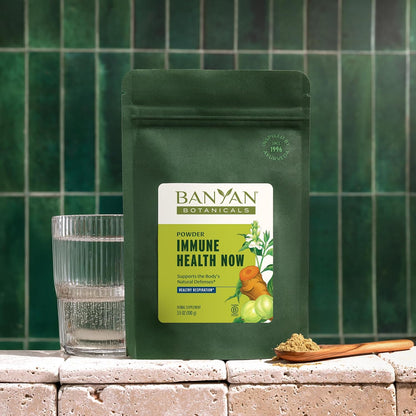 Banyan Botanicals Immune Health Now – Organic Immune Supplement – Powdered Herbs for Lung and Respiratory Support – 3.5 oz (99 g) – Non-GMO, Vegan