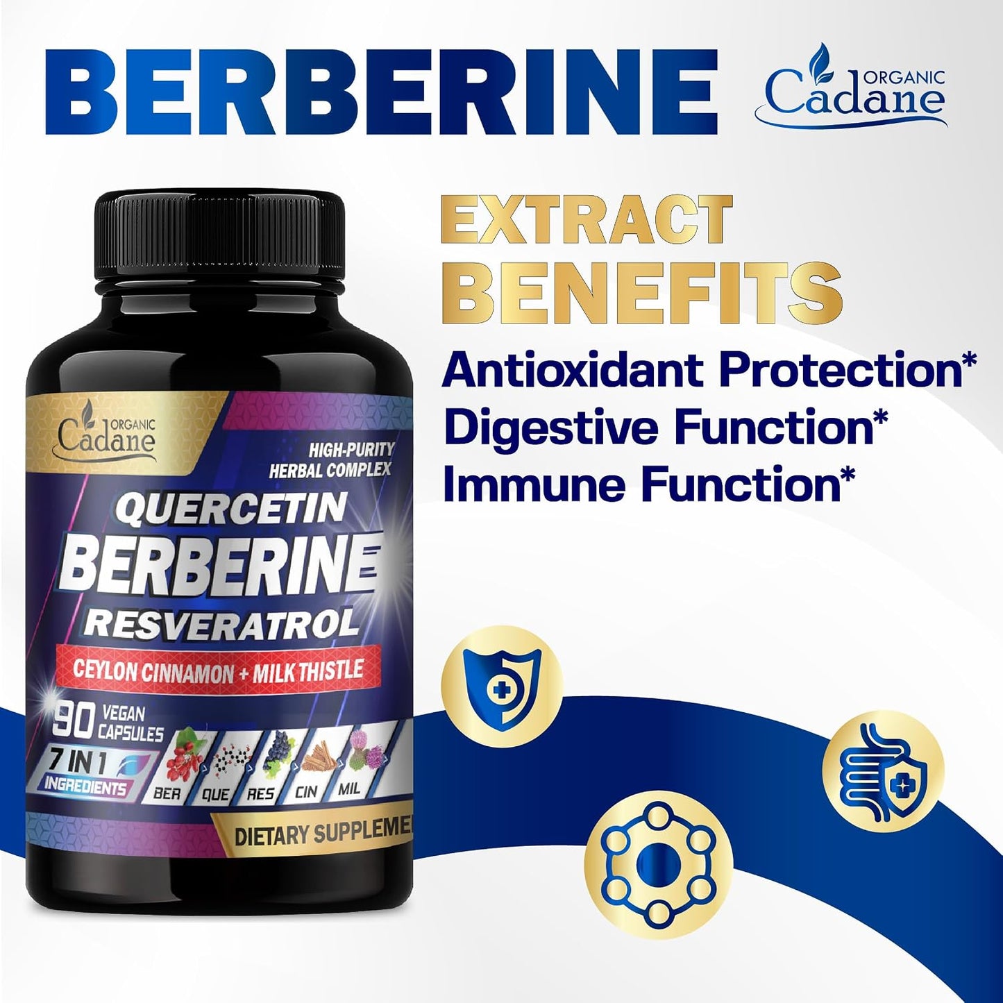 Organic Cadane 7in1 Pure Berberine Supplement with Quercetin, Ceylon Cinnamon, Resveratrol, Milk Thistle, Grape Seed & Black Pepper - 90 Capsules - görsel 8