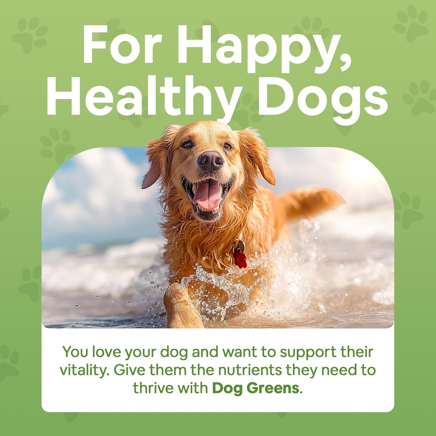 Dog Greens Superfood Supplement for Dogs (12 oz / 340 g) – Organic Human-Grade Ingredients - görsel 3