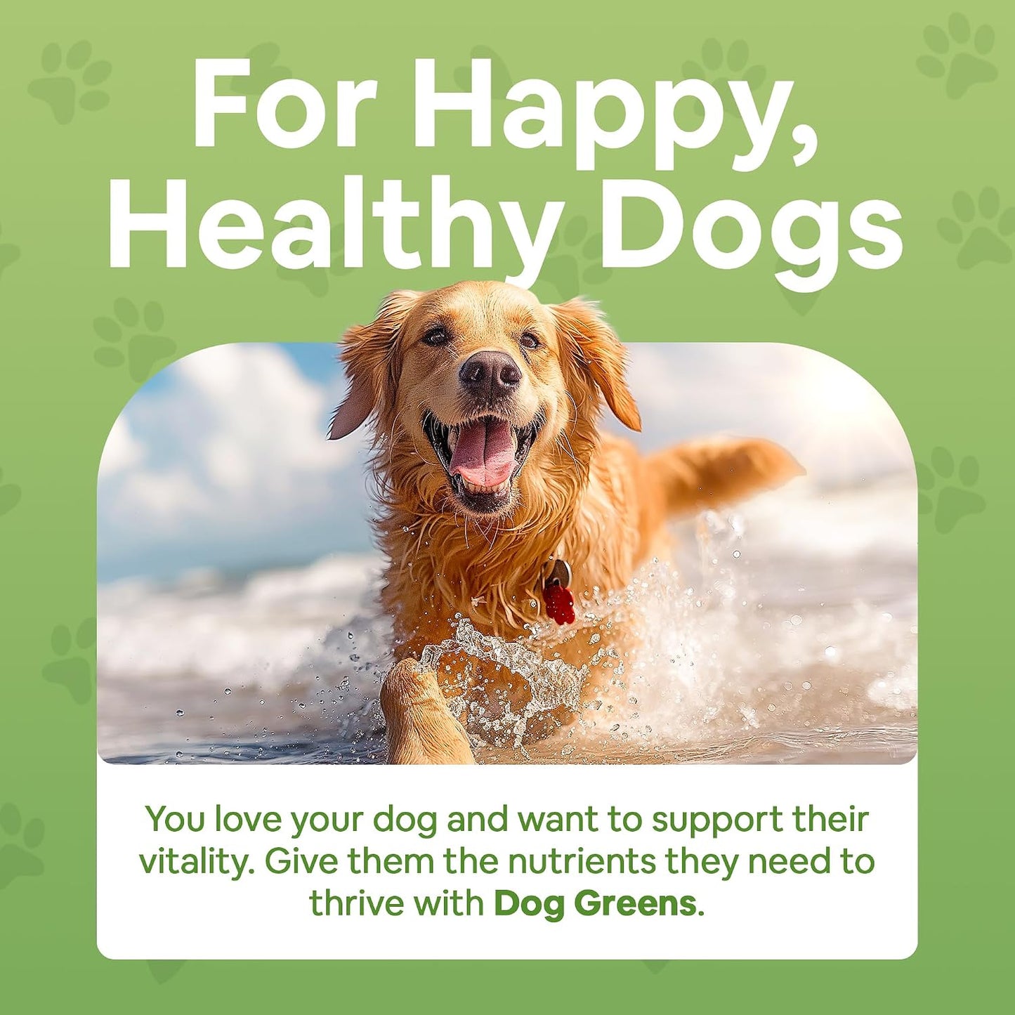 Dog Greens Organic Supplement for Dogs – 12 oz (340 g) (4-Pack) - görsel 3