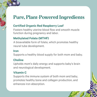 PureNatal Prenatal Vitamins – Organic Whole Food Supplement with Methylated Folate, Natural Iron, and Choline (120 Tablets)