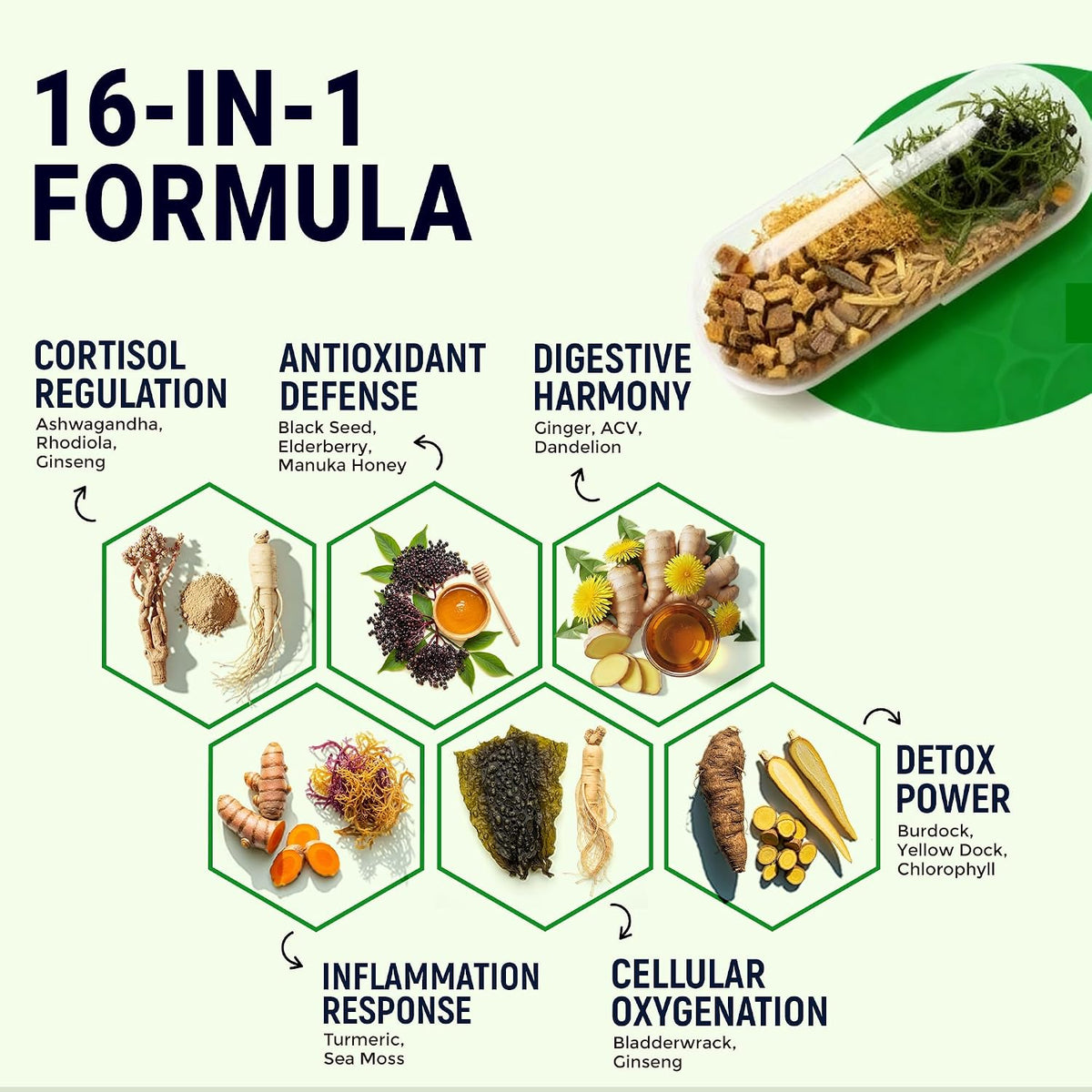 Sea Moss Black Seed Oil Ashwagandha Ginger - Advanced Irish Sea Moss Capsules All-in-One Supplement - görsel 5