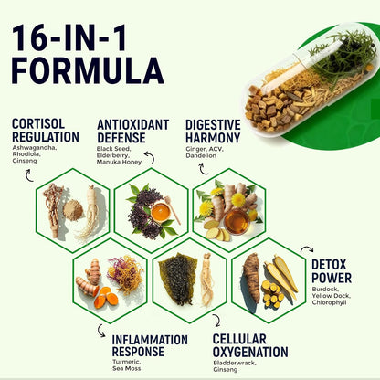 Sea Moss Black Seed Oil Ashwagandha Ginger - Advanced Irish Sea Moss Capsules All-in-One Supplement
