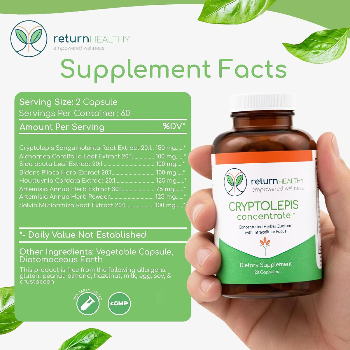 Cryptolepis Concentrate - Immune Support with Cryptolepis Sanguinolenta, 120 Capsules - görsel 8