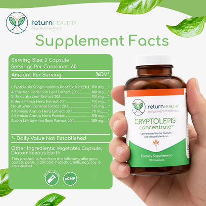 Cryptolepis Concentrate - Immune Support with Cryptolepis Sanguinolenta, 120 Capsules