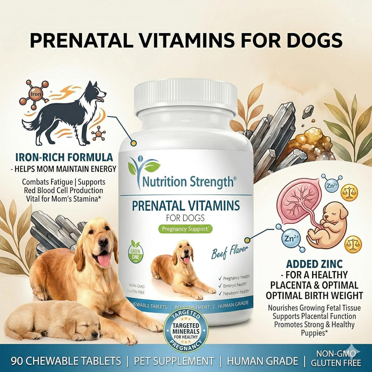Prenatal Vitamins for Dogs – 90 Chewable Tablets | Nutrition Strength - görsel 6