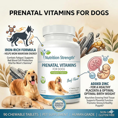 Prenatal Vitamins for Dogs – 90 Chewable Tablets | Nutrition Strength