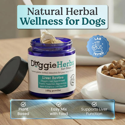 High Potency Liver Support & Detox Powder for Dogs – Veterinary Strength Milk Thistle & Turmeric – 100g