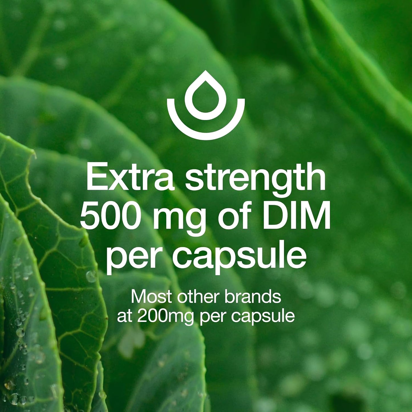 Fresh Nutrition DIM Supplement 500mg – Vegan, Non-GMO, Gluten-Free – 90 Capsules - görsel 5