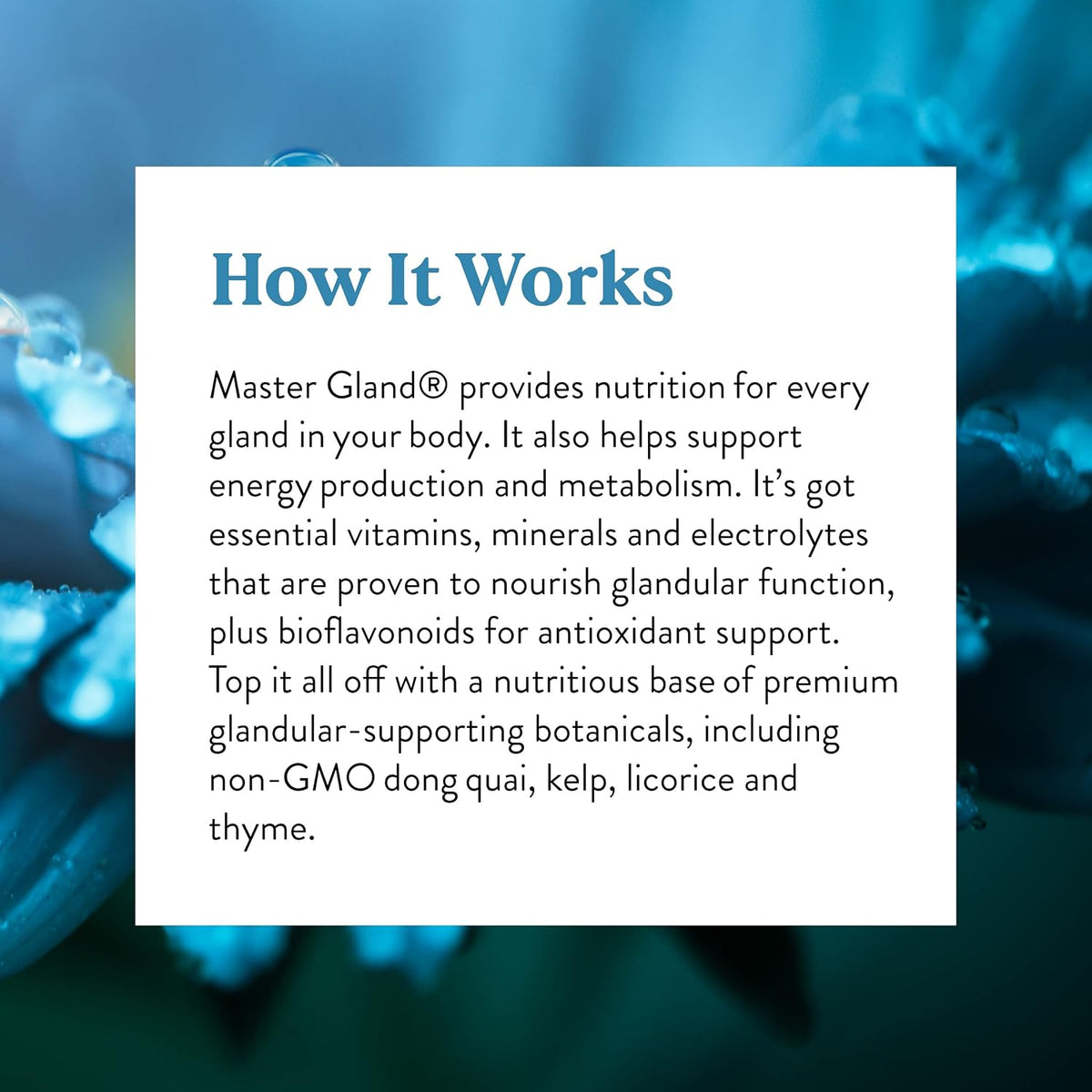 Nature's Sunshine Master Gland, 120 Capsules - görsel 6