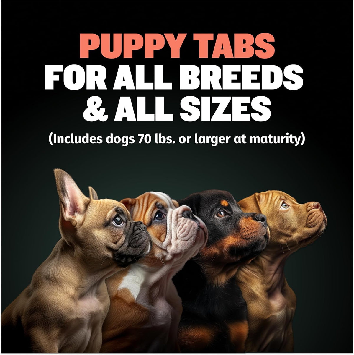 Bully Max 2-in-1 Puppy Vitamins - 30 Chewable Tablets for Growth and Development - görsel 2