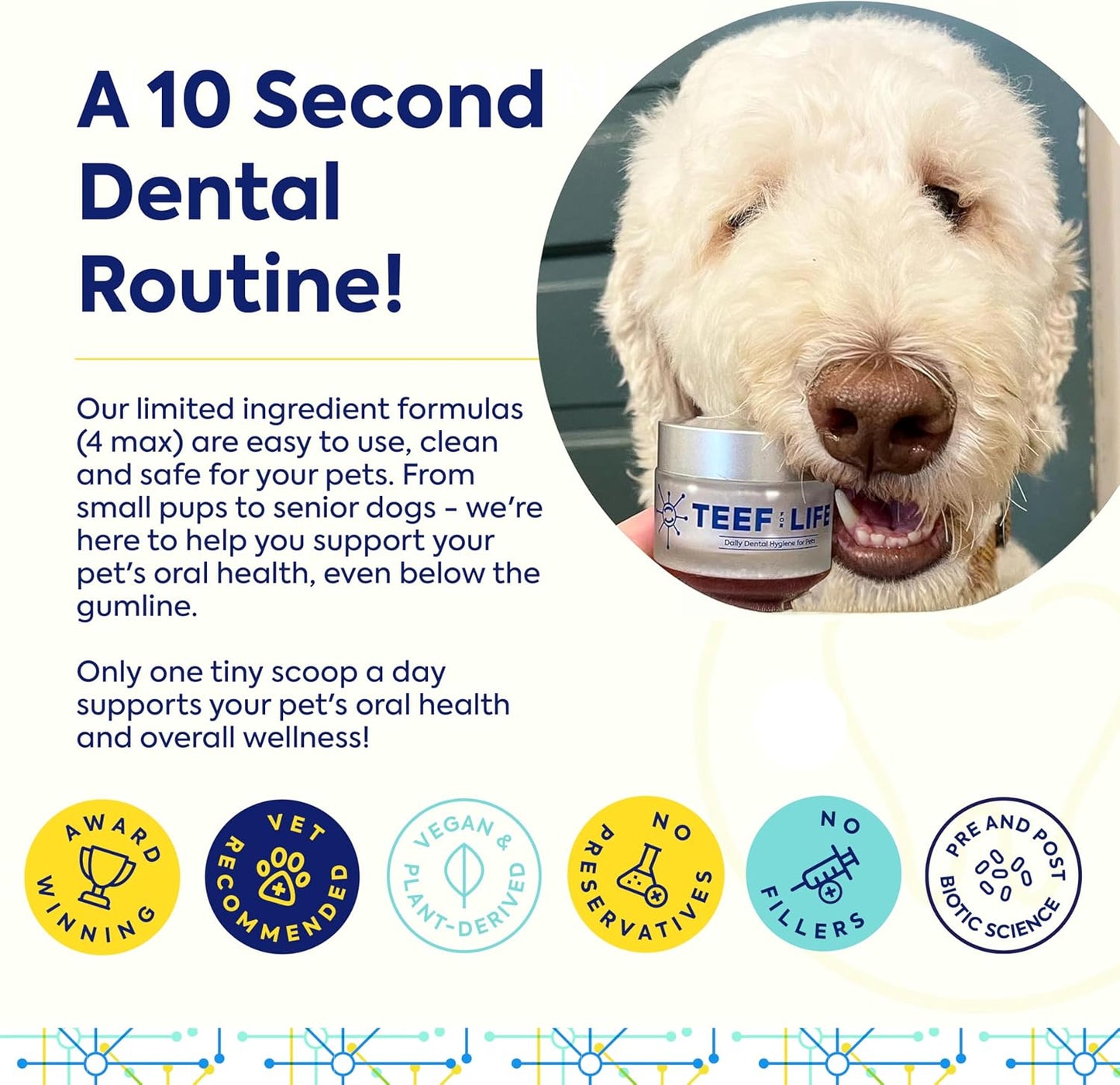 TEEF for Life Protektin42 Prebiotic Dog Dental Powder Kit – Tasteless Breath Freshener, 90 Servings (3 Packets) - görsel 5