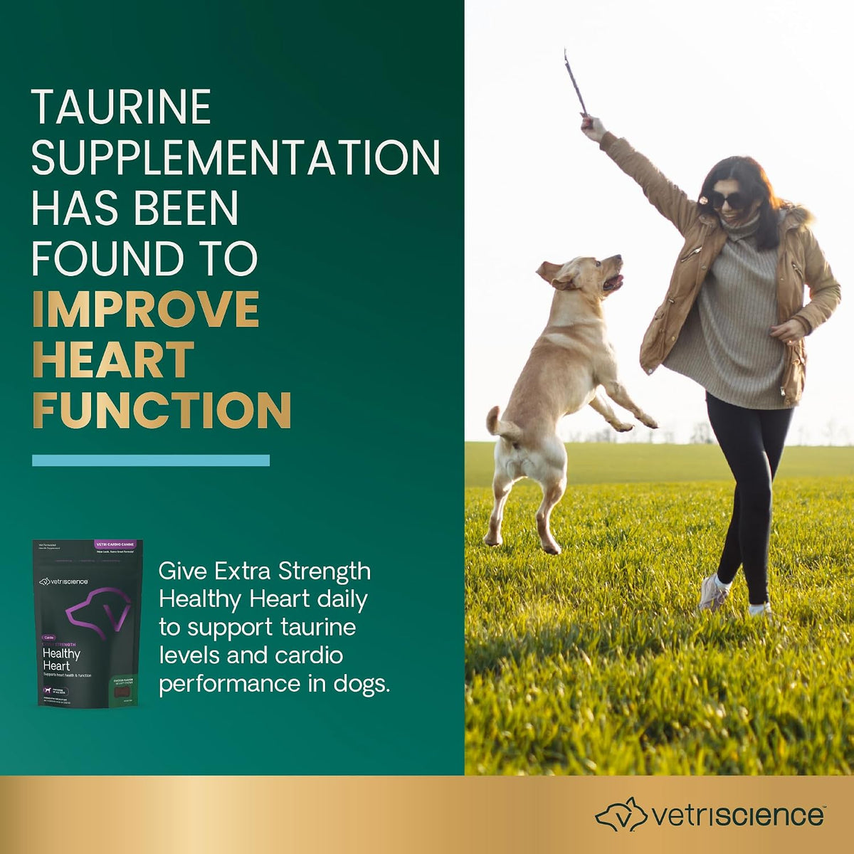 VetriScience Extra Strength Healthy Heart Chews for Dogs - görsel 3