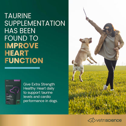 VetriScience Extra Strength Healthy Heart Chews for Dogs