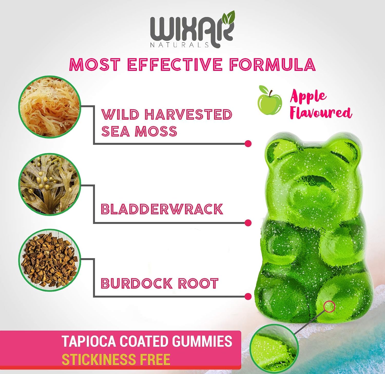 WIXAR NATURALS Sea Moss Gummies - Irish Sea Moss, Bladderwrack & Burdock Root - 60 Vegan Gummies - görsel 4