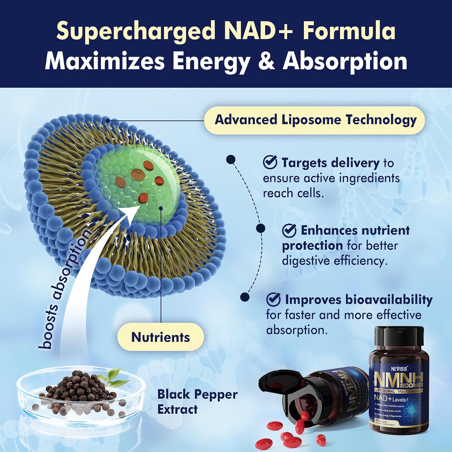 NEVISS NAD+ Supplement, Next-Gen NMNH Liposomal 500mg with Curcumin & Niacinamide – 60 Soft gel capsules - görsel 7