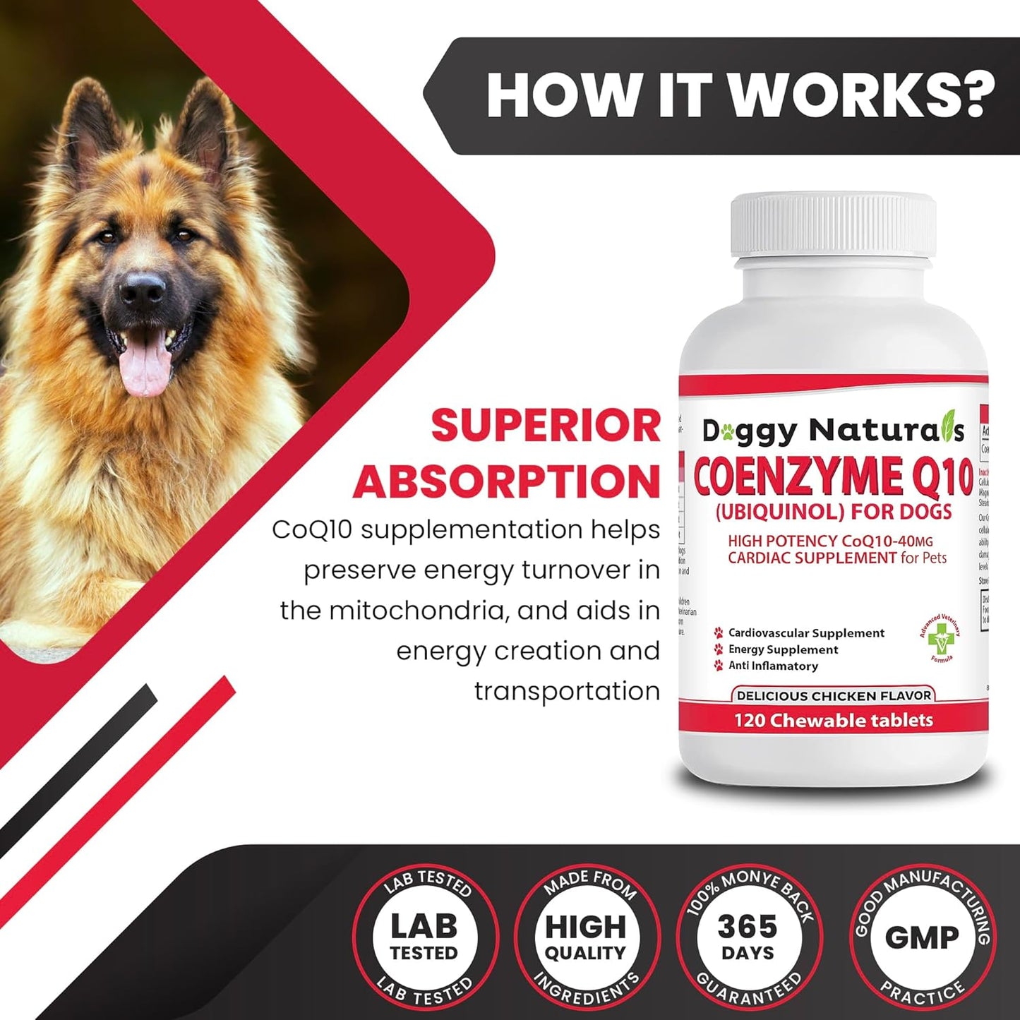 Coenzyme Q10 High Potency COQ10-40mg UBIQUINOL for Dogs (120 Tablets) - Made in USA - görsel 6