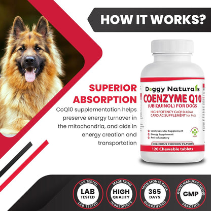 Coenzyme Q10 High Potency COQ10-40mg UBIQUINOL for Dogs (120 Tablets) - Made in USA