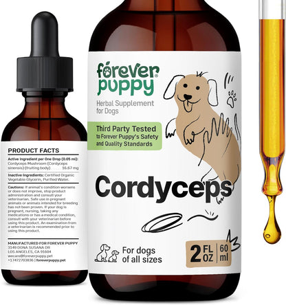 Cordyceps Mushroom Tincture for Dogs – Energy Support Supplement with Cordyceps Sinensis Extract for Kidney Cleanse – Mushroom Drops for Dogs' Canine Kidney Health Support – 60 ml