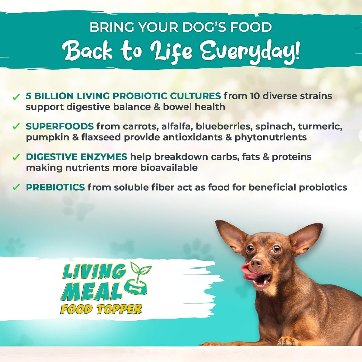 Vital Planet Pet Living Meal Dog Powder with Enzymes, Superfoods & Probiotics (111g, 30 Servings) - görsel 4