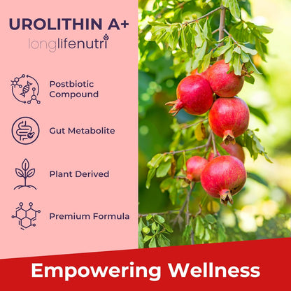LongLifeNutri Urolithin A 1200mg – Postbiotic Food Supplement, 120 Vegan Capsules