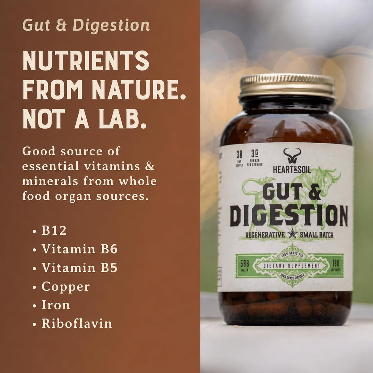 HEART & SOIL Gut & Digestion – Grass Fed Beef Organs for Digestive Health – 180 Capsules - görsel 8
