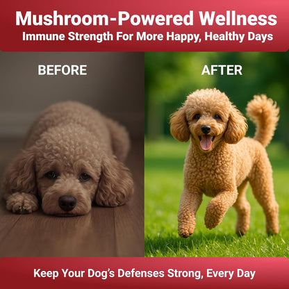 Turkey Tail Mushroom Powder for Dogs - 7 Mushroom Blend - Made in the US