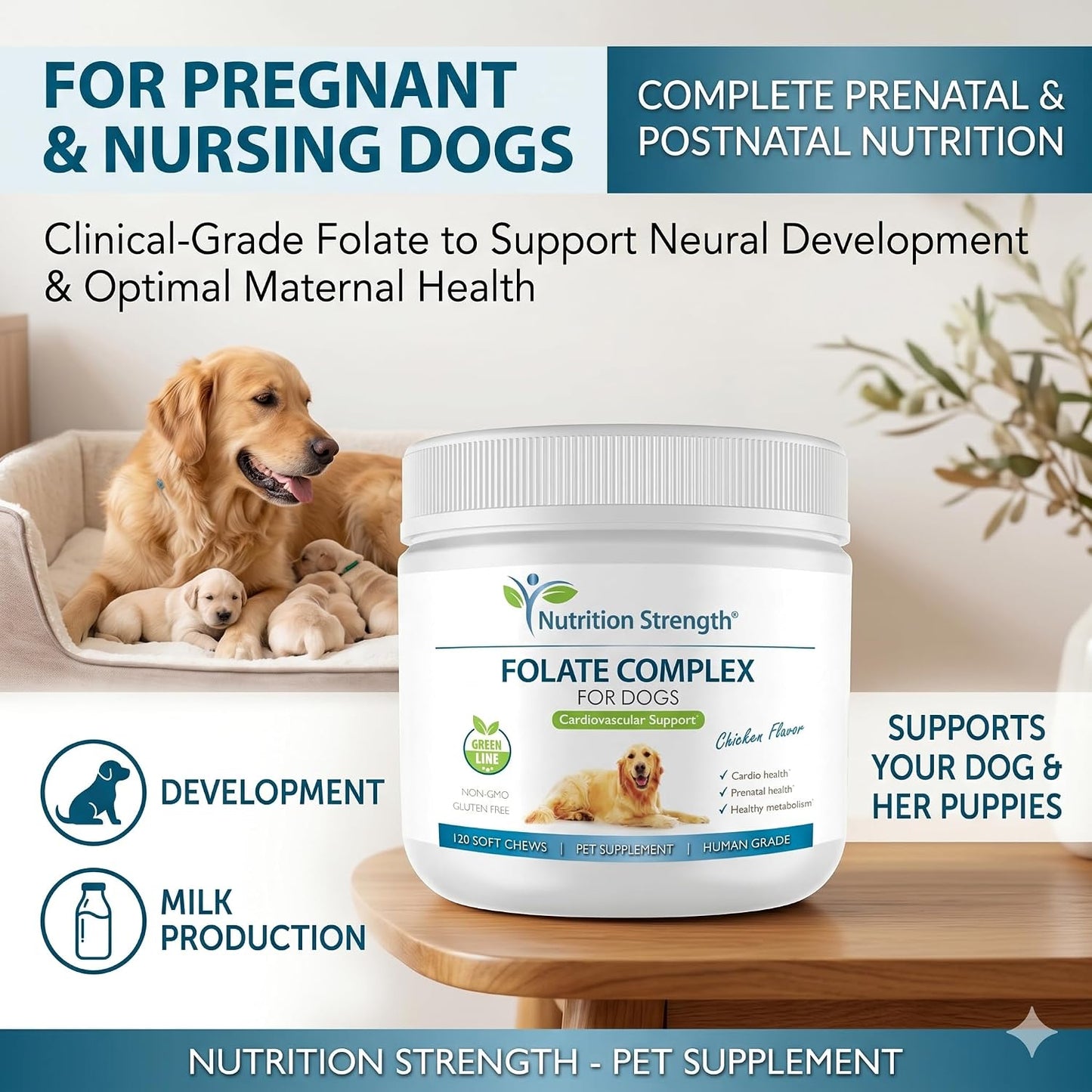 Nutrition Strength Folate for Dogs – Cardiovascular & Prenatal Support, DNA Synthesis, with Zinc, Biotin, Iron & Vitamin B12, 120 Soft Chews - görsel 6
