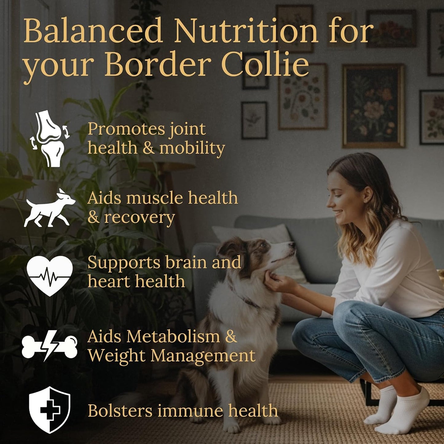 Border Collie Multivitamins, 90 Count, Made in the USA with Real Bacon - görsel 2
