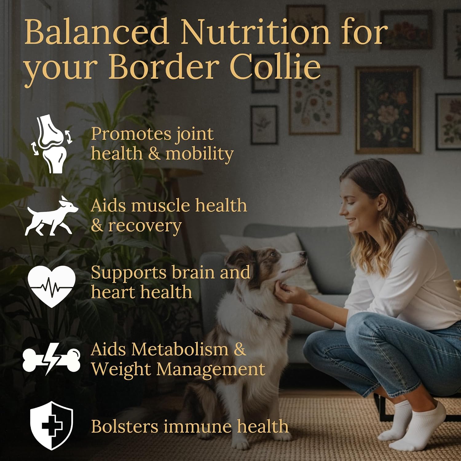 Border Collie Multivitamins, 90 Count, Made in the USA with Real Bacon - görsel 2