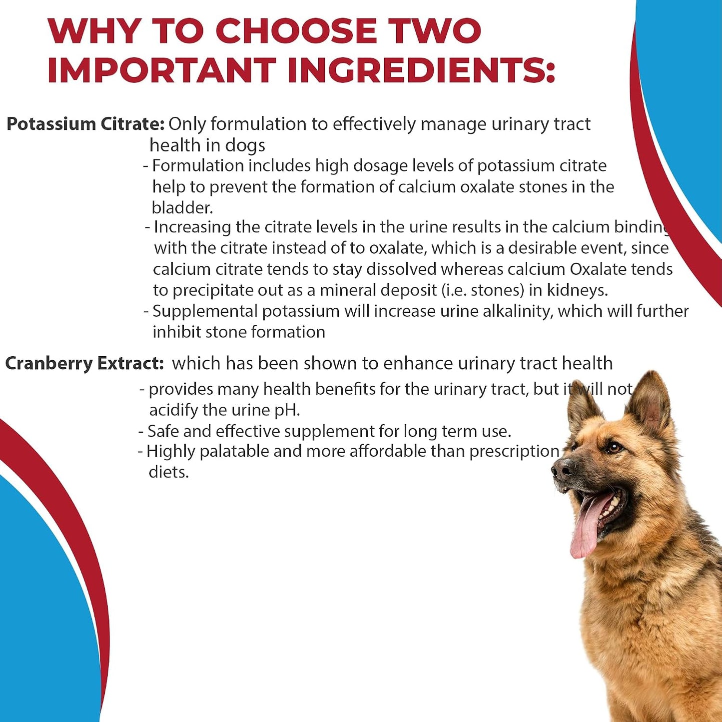 Potassium Citrate Plus Cranberry Supplement for Dogs (100 Tablets) – Urinary Tract Support – Helps Deter Formation of Calcium Oxalate Stones – Deters Bladder & Kidney Stones (Made in the USA) - görsel 8
