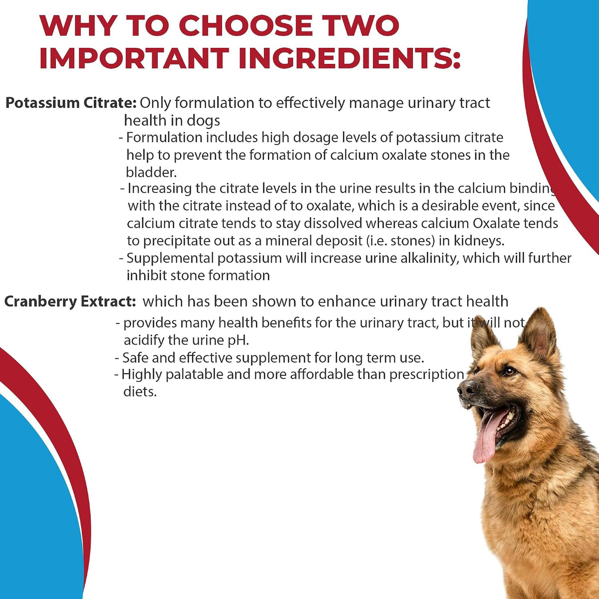 Potassium Citrate Plus Cranberry Supplement for Dogs (100 Tablets) – Urinary Tract Support – Helps Deter Formation of Calcium Oxalate Stones – Deters Bladder & Kidney Stones (Made in the USA) - görsel 8
