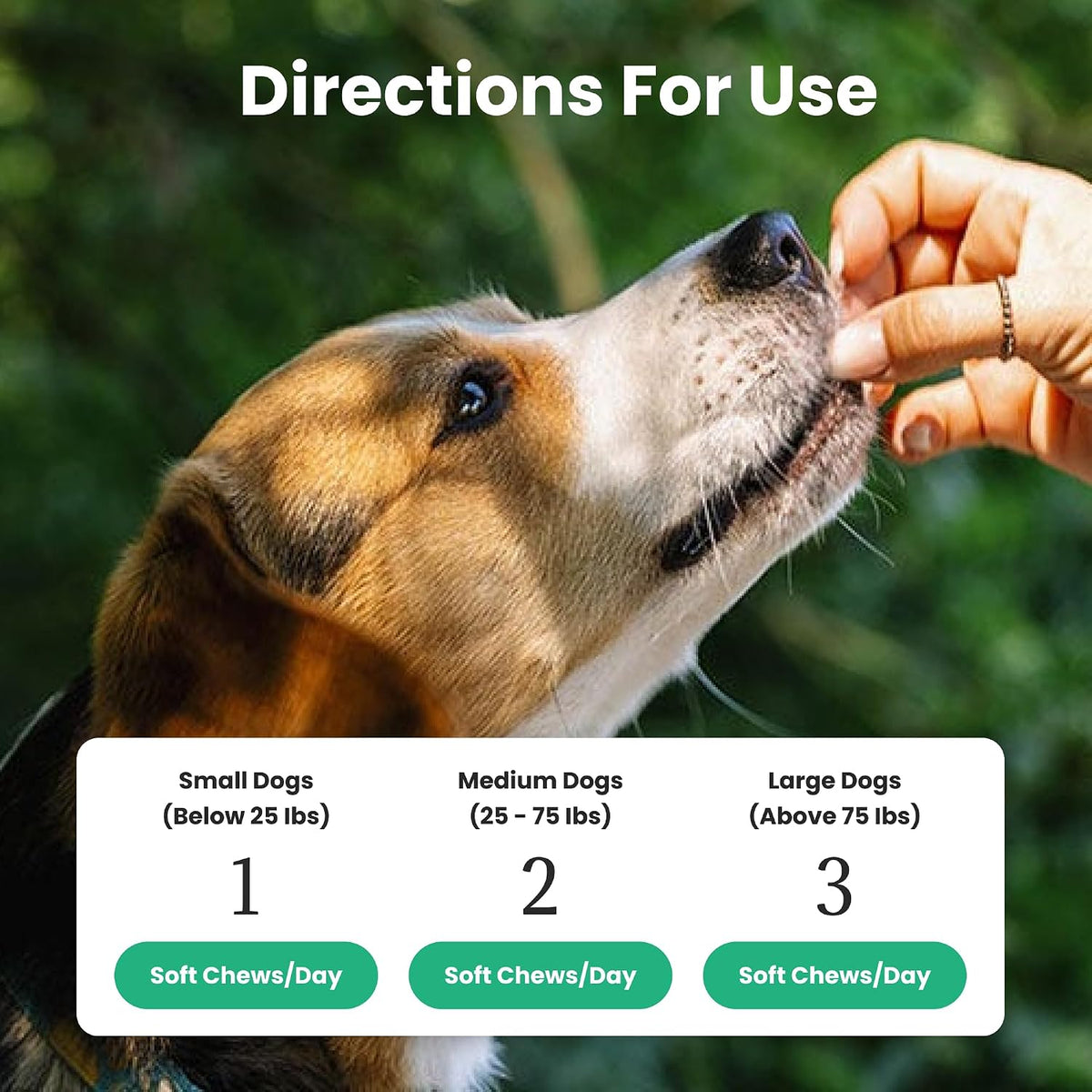 Paw Balance Dog Probiotics and Multivitamin Chews – Digestive Health, Immune Support, Seasonal Sensitivity Relief, 60 Soft Chews - görsel 5