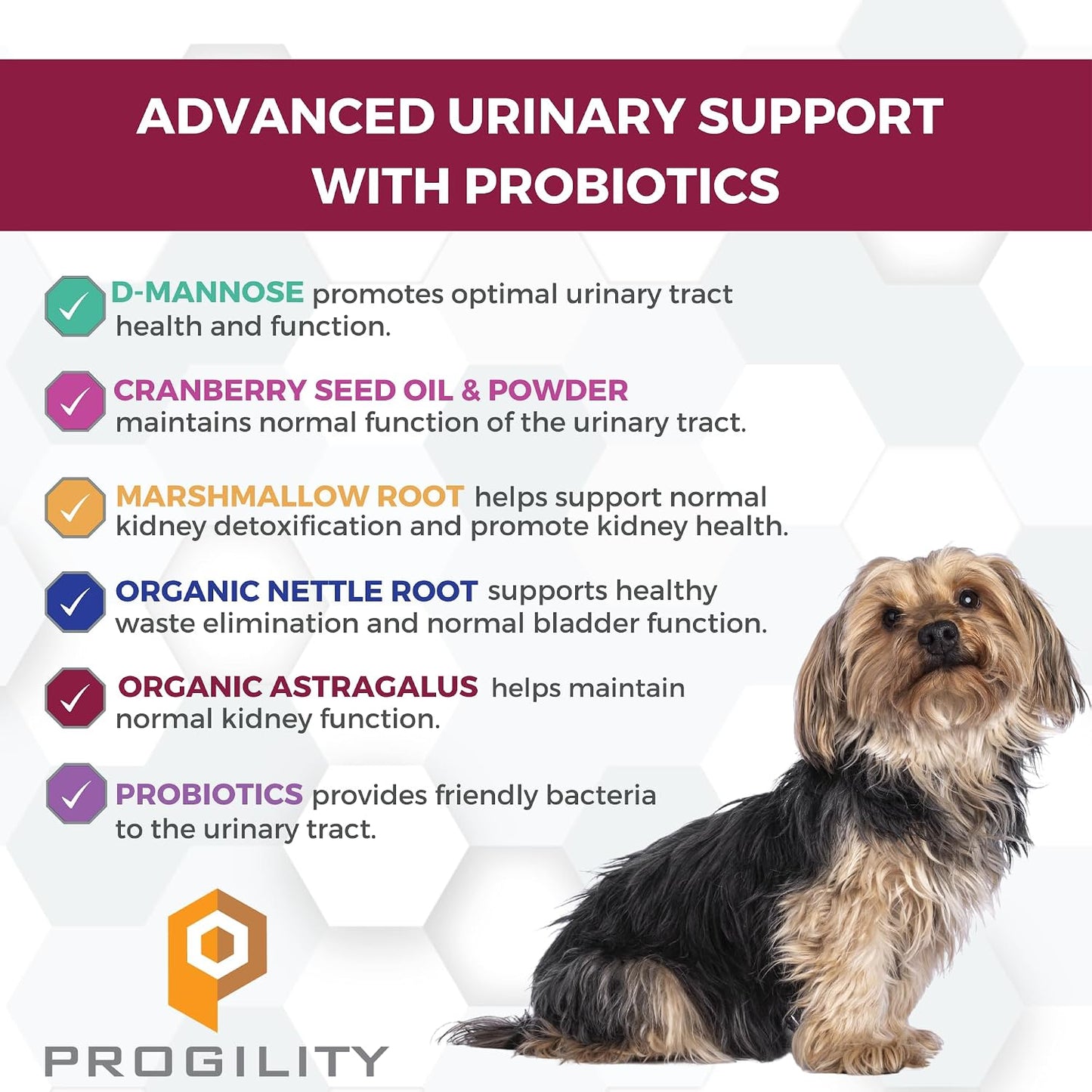 Nootie Progility Urinary Support Supplement for Dogs, Bladder Support and Urinary Tract Support with Cranberry and D-Mannose, 90 Soft Chews - görsel 2