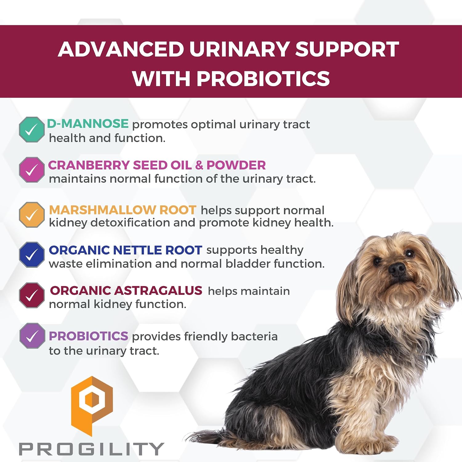 Nootie Progility Urinary Support Supplement for Dogs, Bladder Support and Urinary Tract Support with Cranberry and D-Mannose, 90 Soft Chews - görsel 2