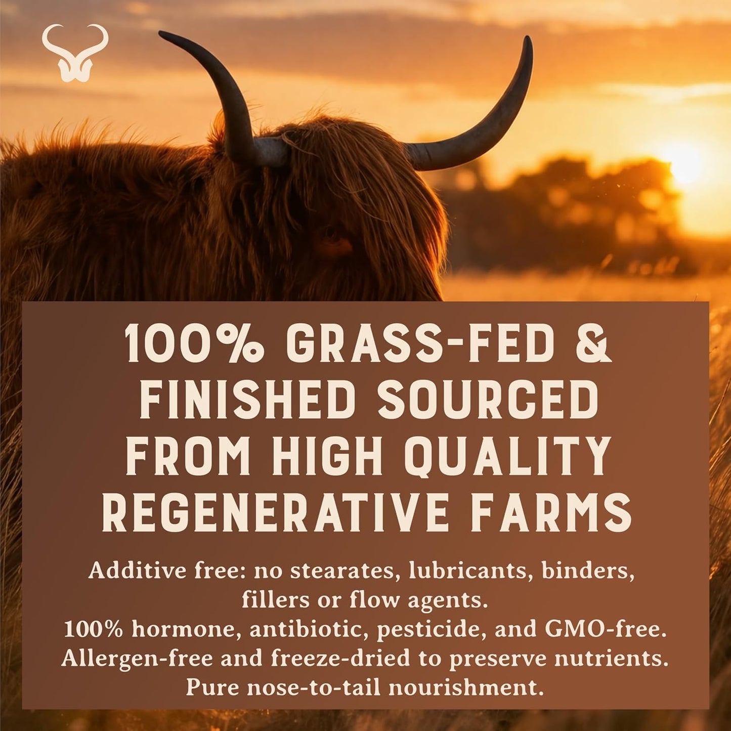 HEART & SOIL Grass Fed Bone Matrix — Supports Bone and Joint Health, Strength, and Flexibility (180 Capsules) - görsel 2