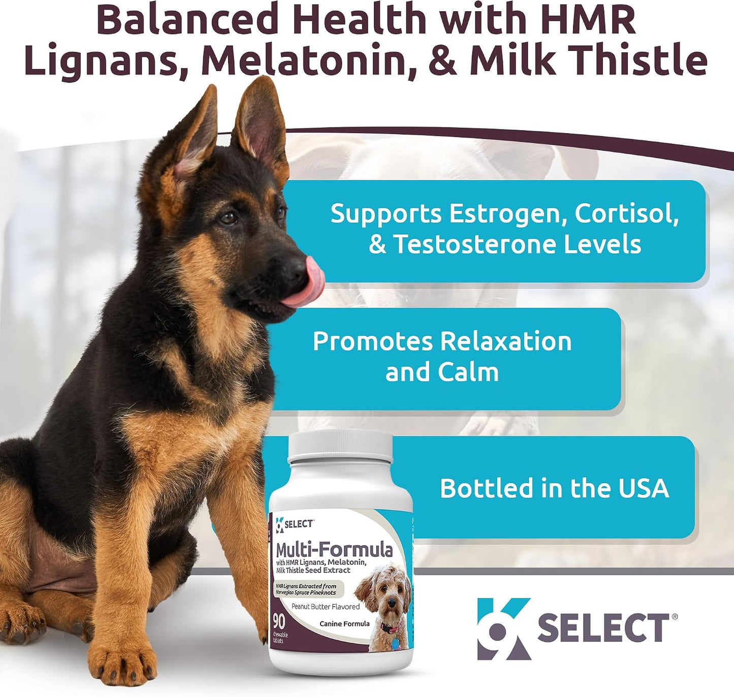 K9 Select Multi-Formula Dog Vitamins for Smaller Dogs - 10mg HMR Lignans, 1mg Melatonin, 20mg Milk Thistle - 90 Chewable Tablets, Peanut Butter Flavour - görsel 2