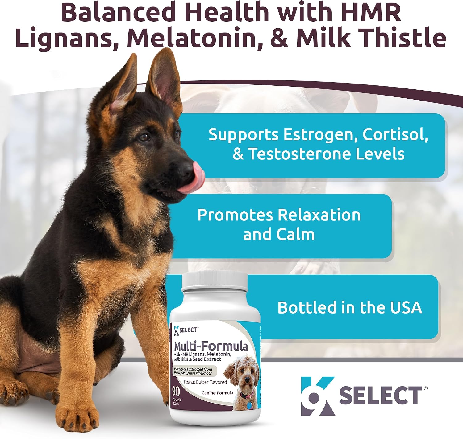 K9 Select Multi-Formula Dog Vitamins for Smaller Dogs - 10mg HMR Lignans, 1mg Melatonin, 20mg Milk Thistle - 90 Chewable Tablets, Peanut Butter Flavour - görsel 2