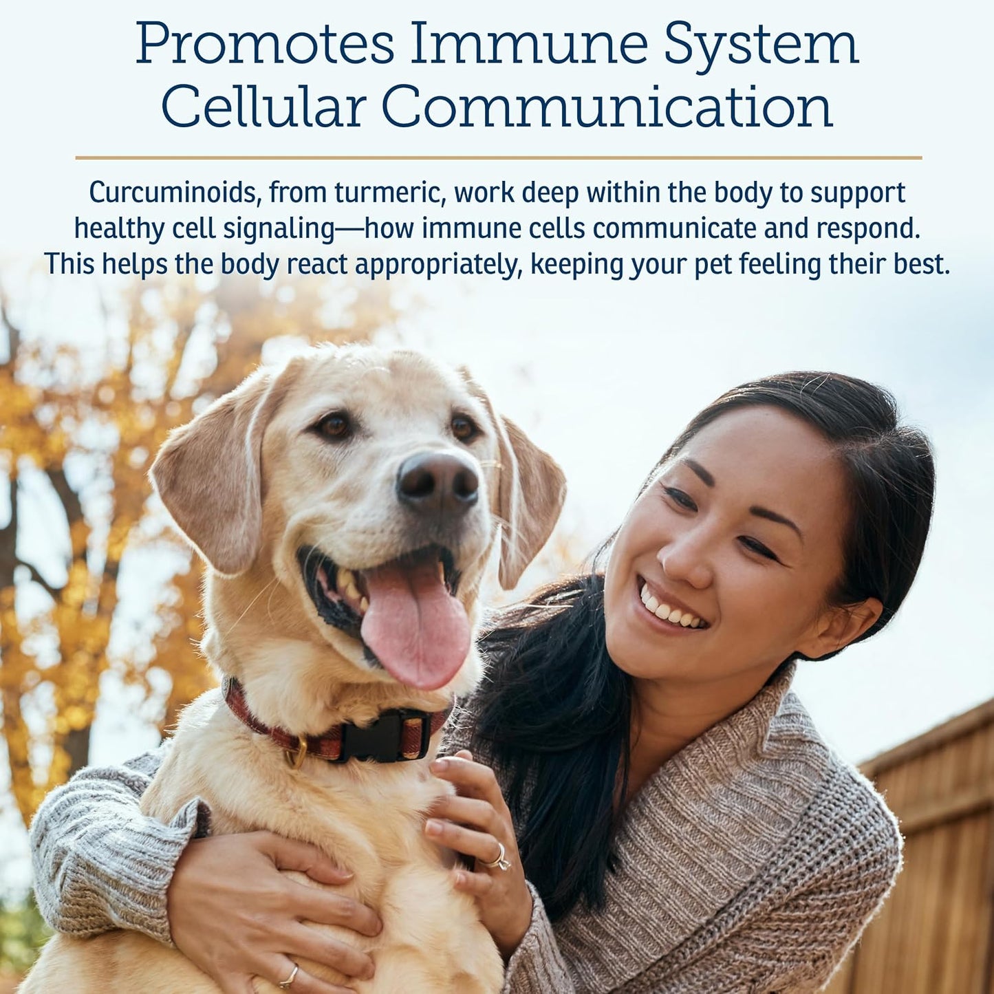 Rx Vitamins CurcuWIN - Curcumin for Dogs & Cats - Vitamins and Supplements, Allergy Relief - Provides Immune Support & Aids Digestive Support - Joint Supplement - 90ct - görsel 4