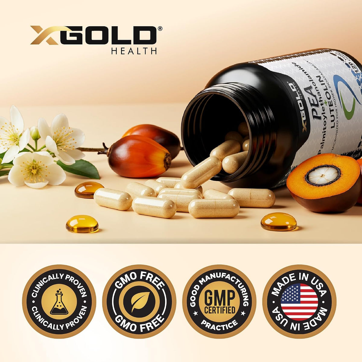 Palmitoylethanolamide 630 mg + Luteolin Standardised 98% - 120 Veggie Capsules - görsel 6