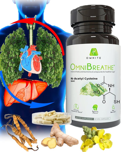 Respiratory Support Supplement with Mullein Leaf, NAC & Stinging Nettle | Airway & Breathing Wellbeing Formula | 60 Veg Capsules