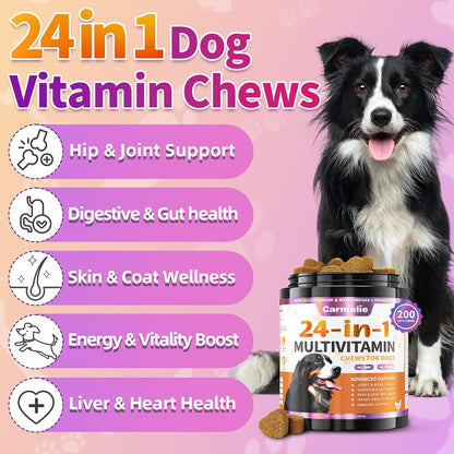 Dog Vitamins, 24 in 1 Dog Vitamins and Supplements, 200 Chews with Glucosamine Probiotics Omega-3 Puppy Multivitamins Chewable for Hip and Joint, Skin and Coat, Immune Health, Digestive Health (Chicken)