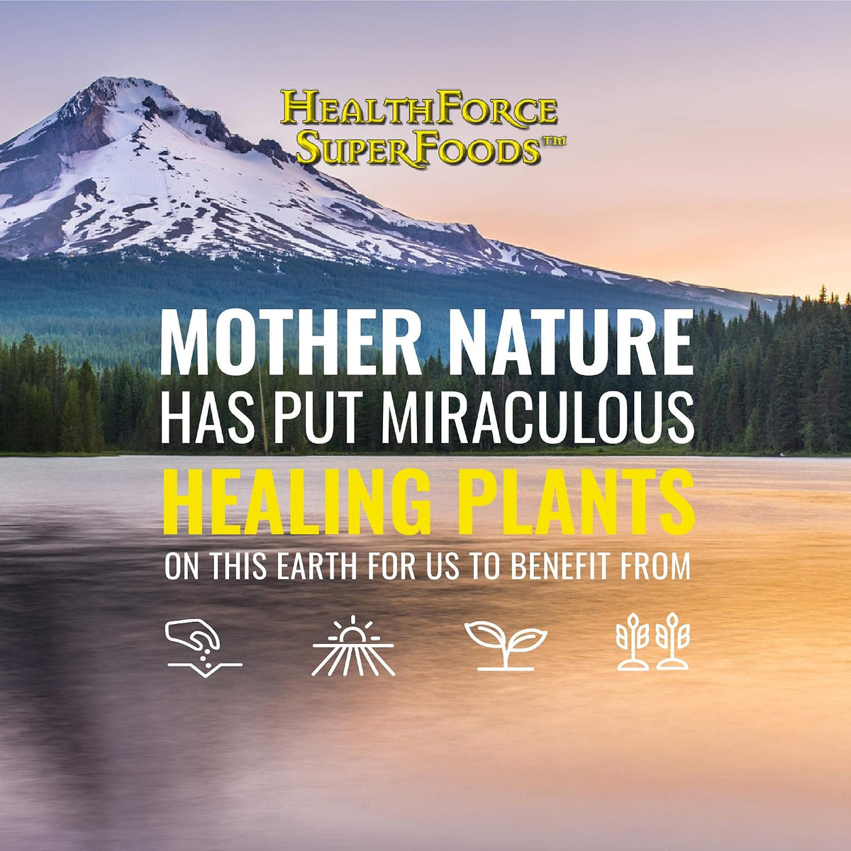 HEALTHFORCE SUPERFOODS Truly Natural Vitamin C - 120 Vegan Capsules (15 Servings) - görsel 4