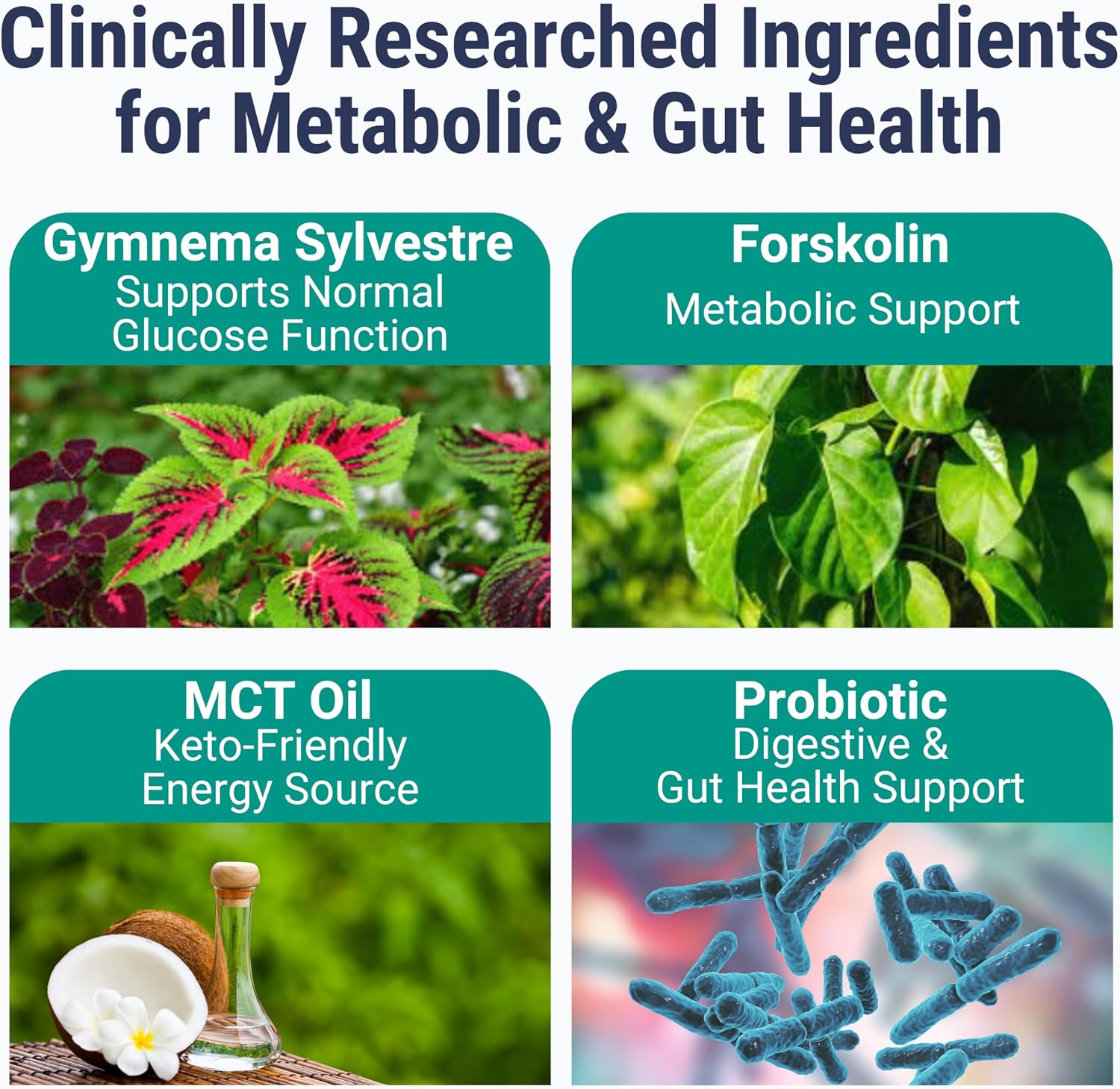 SHIZAM C8 & C10 MCT Oil, Gymnema Sylvestre, Chromium Picolinate, Probiotic & Berberine Gummies - görsel 4